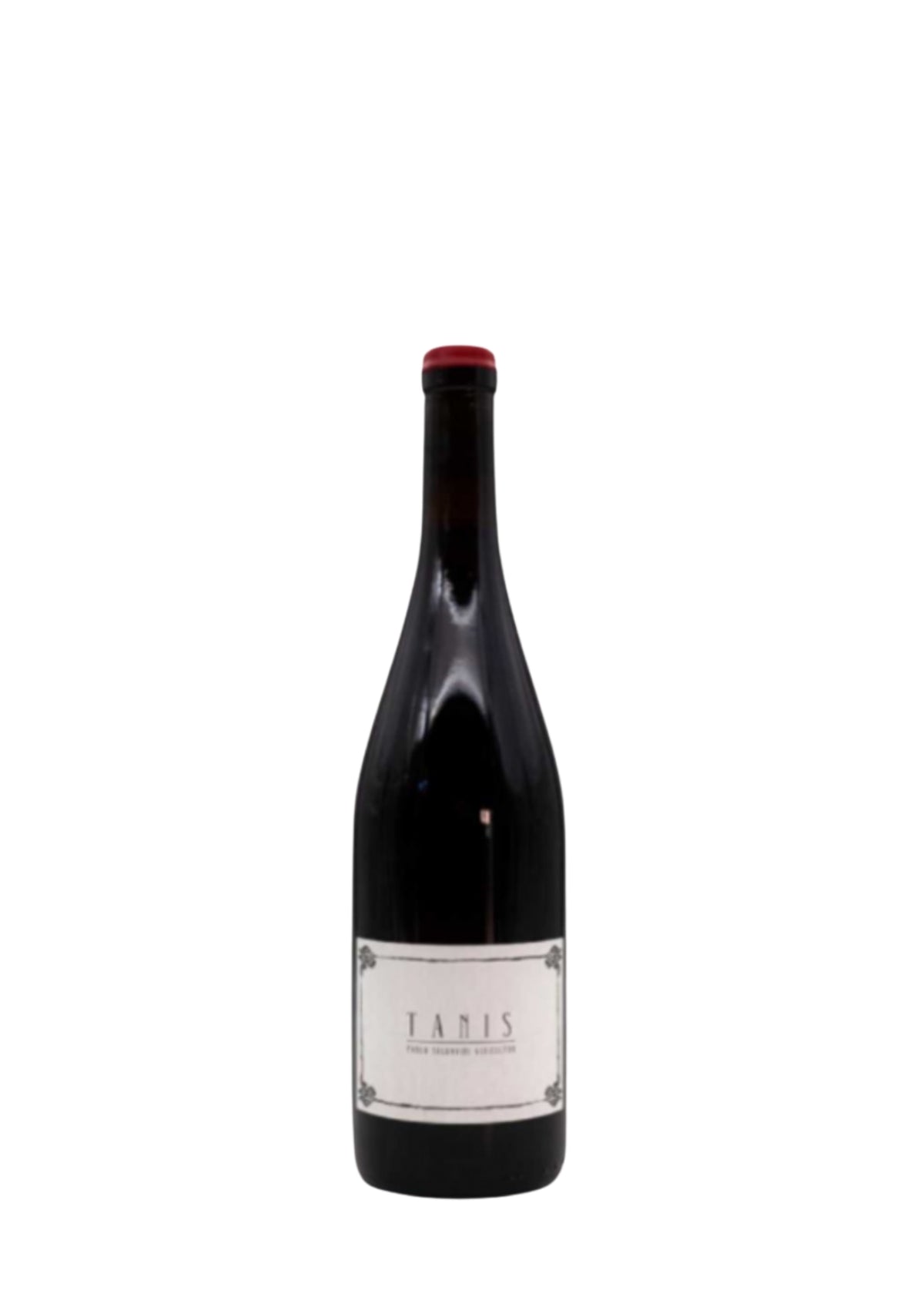 Pablo Soldavini Tanis Tinto 2023