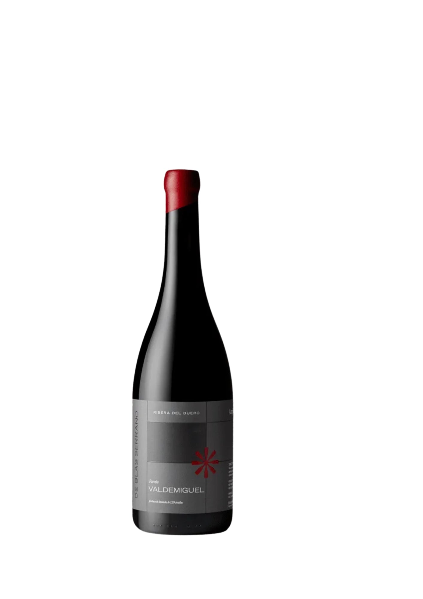 Valdemiguel 2016