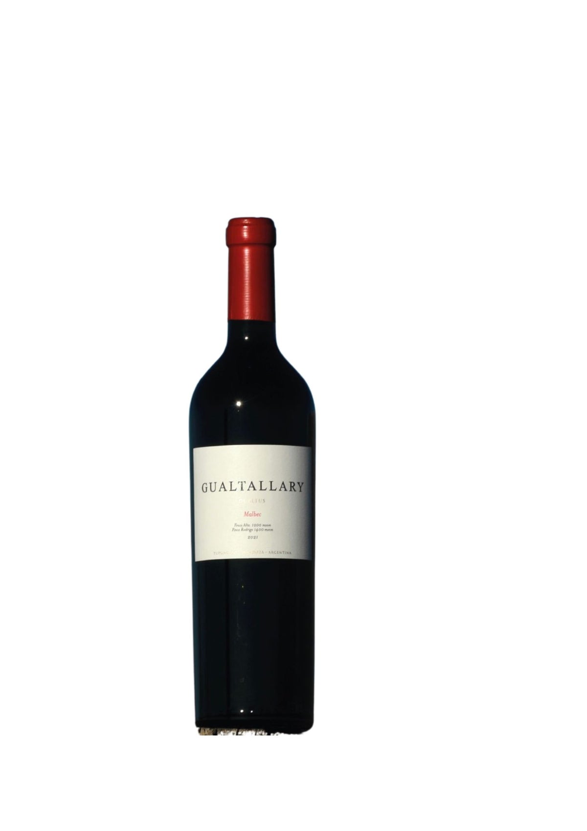 Gualtallary Malbec
